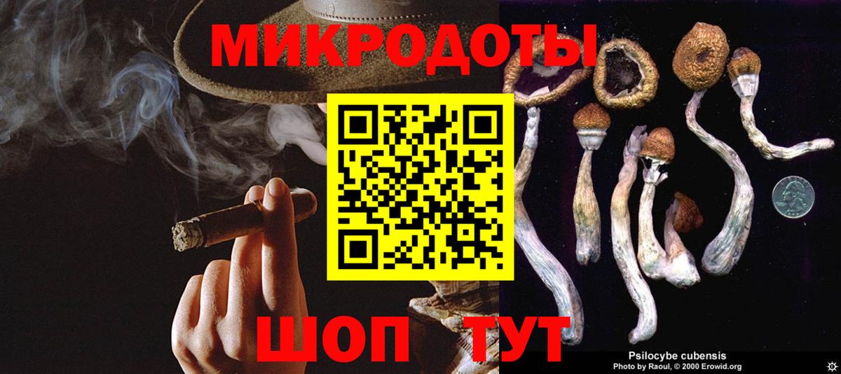 Псилоцибиновые грибы Psilocybe  Псилоцибиновые грибы мицелий  Архангельск  Вход с VPN 